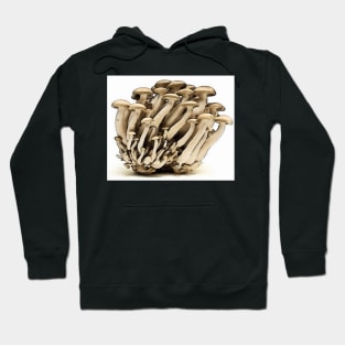 Honey fungus (Armillaria mellea) Hoodie